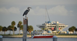 Pier_Heron_2_Web