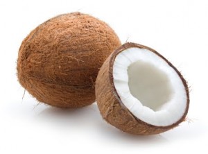 Coconut XSmall